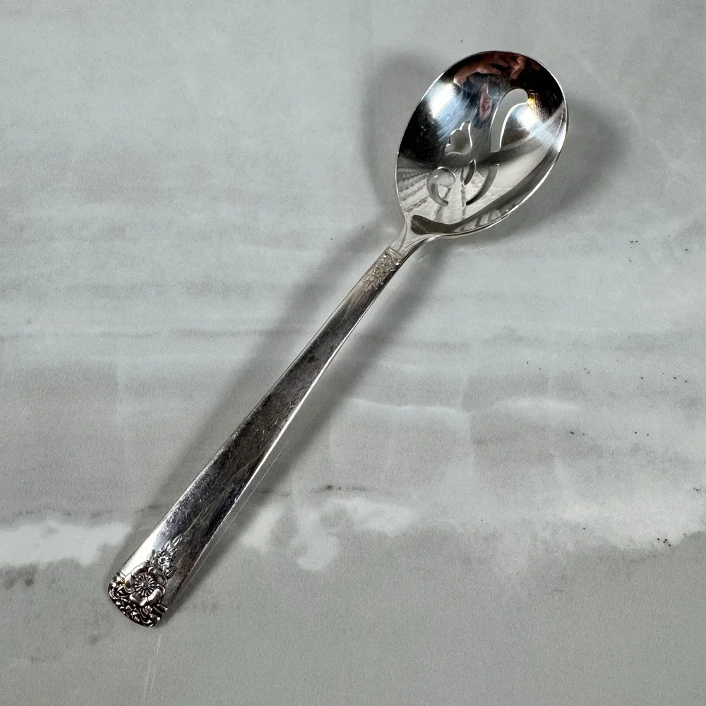 WM Rogers International Silver Large Sugar Sifter Spoon Spring Charm SilverPlate